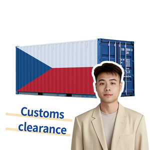 Stabile veloce oceano camion di origine est autotrasporti + espresso trasporto merci internazionale a cz/slovacchia/Austria/polonia/germania - Product Image 4