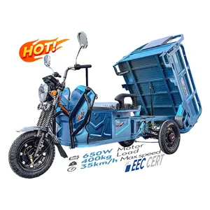 Lb-Lb130 Named Dls Mountain Tyre Cargo Electric Tricycle For Sale