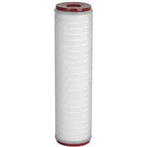 10 "Efficiënte Aseptische Filtratie Hydrofiele Ptfe Membraan Filter Cartridge 69 Mm Buitendiameter Met Pp Buitenste Kooi