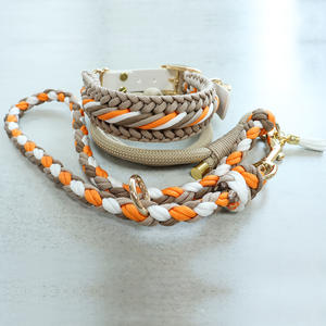 Correa de Perro Ajustable de Alta Calidad con Collar de Cuerda Retráctil Tipo Paraguas para Perros Grandes, Juego de Collar para Mascotas - Product Image 5