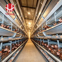 Cage à poulets de type H à haute teneur en zinc, installation rapide, garantie 1 an, cage à batterie entièrement automatique, élevage de volailles, poulailler