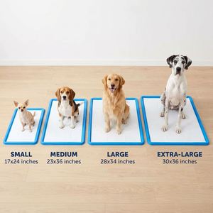 Prêt à expédier : Tapis d'apprentissage pour chiots écologiques, super absorbants, imperméables IP67, faible MOQ, logo personnalisé - Product Image 1