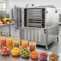 Déshydrateur industriel à petite capacité pour fruits et légumes (longanes, papayes, fruits de la passion, cerises, raisins)