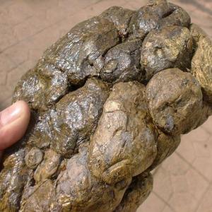 Fournisseur de plantes médicinales chinoises, propolis <span class=keywords><strong>d</strong></span>'<span class=keywords><strong>abeille</strong></span> brute, propolis verte naturelle à vendre - Product Image 3