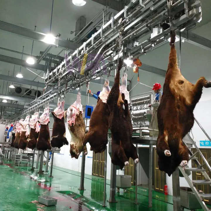 Modern Slaughterhouse Cattle Abattoir Equipment for High Efficiency