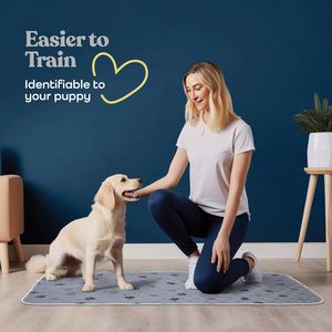 Almohadillas de Entrenamiento Higiénicas Extra Grandes para Perros Machos, Resistentes, 22x22, para Inodoro Canino - Product Image 6
