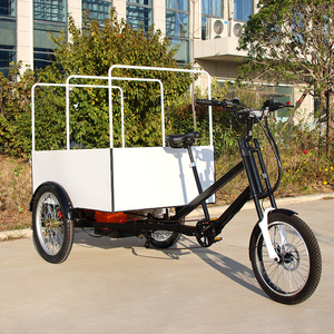Bicicletta Elettrica a 3 Ruote per Consegne 48V 500W con Carico Posteriore e Box, Triciclo Cargo con Tettuccio, Prezzo di Fabbrica - Product Image 2