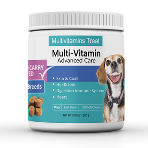 Multi-Vitamin Care Soft Chews-Testé cliniquement avec soutien pour la peau et le pelage, les hanches et les articulations, l'immunité et le cœur-Saveur de boeuf (90 mastics) - Product Image 1