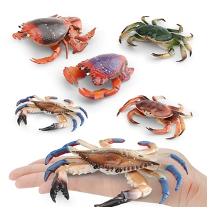Modelo de Cangrejo Marino Simulado, Juguetes Cognitivos para Niños, Cangrejo de Tres Ojos, Cangrejo Caballito de Mar, Ranina, Juguetes Decorativos - Product Image 3