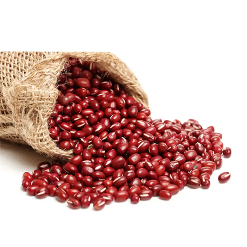 Hot sale High quality rich nutrients Adzuki small red beans