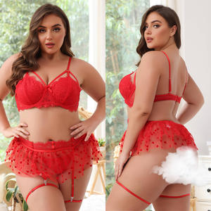 ملابس داخلية نسائية مثيرة من الدانتيل الشفاف، تصميم فاخر عالي الجودة للفتيات ممتلئات الجسم - Product Image 2