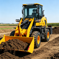 2-Tonnen-Radlader mit 0,9m³ Schaufel Mittelgroßer Frontlader für Bau und Landwirtschaft