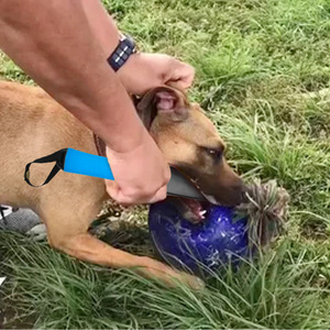 Chien professionnel pas de bâton de morsure formation grand chien combat break up - Product Image 2