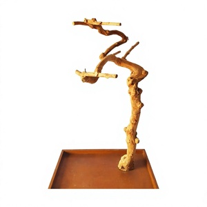 Ramas de madera de café natural para pajareras, hechas en Vietnam, duraderas, ecológicas, adorno para mascotas. - Product Image 1
