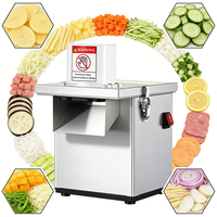 Veilige commerciële groente- en fruit snijmachine met motor 220V, laag geluidsniveau, veiligheidsbeugel voor schoolkeukens