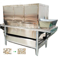 Máquina Automática Industrial de procesamiento de polvo de ajo de 400 kg/h, línea de producción de múltiples aplicaciones para cortar frutas y verduras