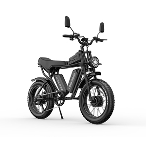 Vélo électrique L20 PRO à double moteur 52V 40Ah, autonomie longue portée 200-250 km, freins à disque hydrauliques doubles, certifié CE, pneus larges de 20 pouces - Product Image 2