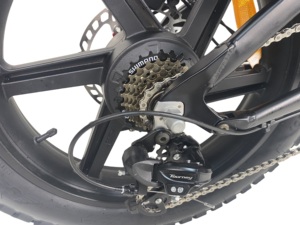 Bicicleta de Montaña con Cuadro de Aluminio y Litio de 48V, 7 Velocidades, Frenos de Disco Hidráulicos, Ruedas de 20 Pulgadas, Bicicleta Eléctrica para Nieve - Product Image 1