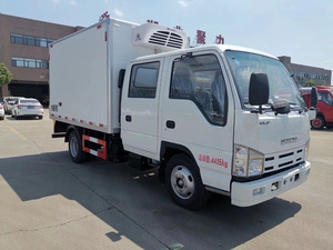 <span class=keywords><strong>Camion</strong></span> frigorifique ISUZU 100p 4x2 à double rangée, fourgonnette de transport de marchandises sèches, prix abordable, <span class=keywords><strong>camion</strong></span> frigorifique <span class=keywords><strong>pour</strong></span> produits surgelés - Product Image 6