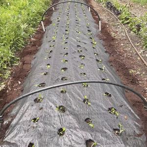 Nông Nghiệp Nhiệm Vụ Nặng Nề Thân Thiện Với Môi Nhà Kính Dệt Vườn Weed Khối Vải Kiểm Soát Nhà Kính Hàng Rào Vải Cảnh Quan Mat - Product Image 4