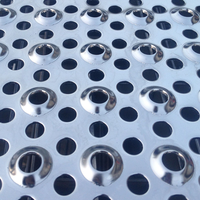 Panneaux de passerelle et marches d'escalier en métal perforé, acier durable, revêtement en zinc, fournisseur chinois