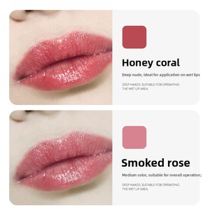 Pigment PMU inorganique 3 ml, teinte naturelle pour lèvres, sourcils et eye-liner, haute concentration, stabilité de la couleur de 4 ans, encre de tatouage OEM - Product Image 2