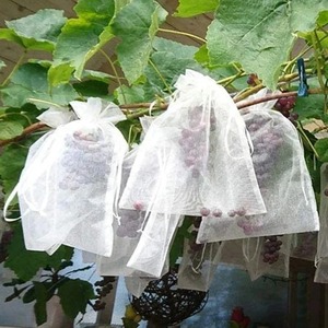Fruit Protection Bag Fruit Trees Fruit Cover Mesh Bag with Drawstring Anti Insect - Product Image 6