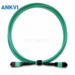 สายเคเบิล MPO Trunk 24F OS2 โหมดเดี่ยว 3M สำหรับศูนย์ข้อมูลความหนาแน่นสูง - Product Image 1
