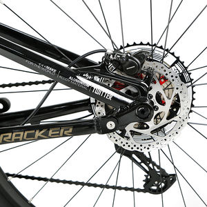 Bicicleta de Montaña de Doble Suspensión <span class=keywords><strong>Twitter</strong></span> SX EAGLE de 12 Velocidades, Cuadro de Aluminio de Nivel XC, Suspensión Completa de 27.5 y 29 Pulgadas - Product Image 6