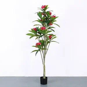 Tropische Planten Ingemaakte Frangipani Boom Voor Hotel Decoratie Bonsai Plumeria Boom