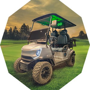 Mini voiturette de golf électrique au lithium 36V à prix compétitifs 4 places - Product Image 1