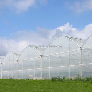 高品质透明PE + 紫外线稳定迷你温室塑料薄膜农用0.02毫米-0.25毫米厚度吹塑 - Product Image 1