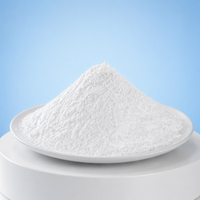 Silice précipitée blanche en poudre libre, agent matifiant anti-crépaison pour revêtements, peintures et encres, haute absorption d'huile