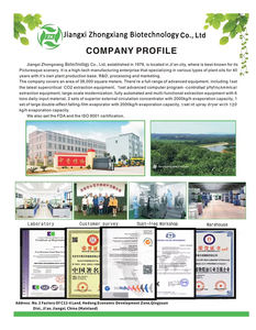 زيت الباتشولي (زيت بوغوستيمون كابلين) طبيعي 100٪ بأفضل جودة وسعر جملة، زيت باتشولي بالجملة لصناعة العطور - Product Image 6