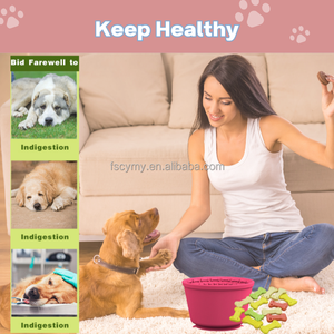 Mangeoire lente pour chien de qualité alimentaire fleur de silicone petit tapis à lécher pour animal de compagnie <span class=keywords><strong>Lickimat</strong></span> avec aspiration - Product Image 5