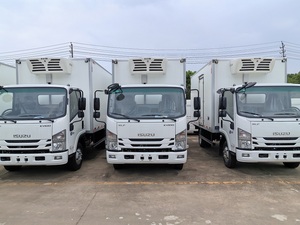 Camion Frigorifero ISUZU Lunghezza 4,2 Metri - Product Image 6