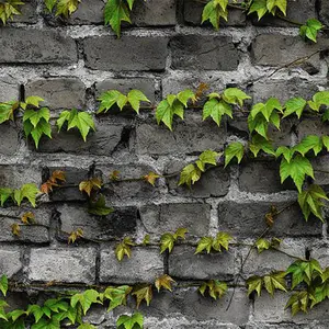 लता हरे पौधों आँगन दीवार वॉलपेपर आंगन शैली 3D ईंटों पीवीसी दीवार के कागज