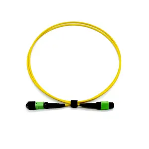 Factory Price MPO(f) to MPO(f) 12f LSZH 3.0m low loss Fiber Optic Patch Cord Mpo Trunk Cable