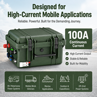 Stations d'alimentation portables de haute qualité, batterie LiFePo4, pack de batteries 12V 24V 100Ah 200Ah, batterie au lithium rechargeable pour le stockage d'énergie, pour camping-car
