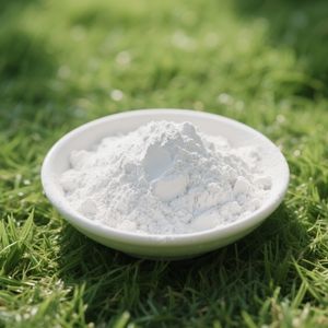 गर्म बिक्री उच्च शुद्धता कैल्शियम हाइड्रोक्साइड पाउडर का (ओह) 2 हाइड्रेटेड चूना खाद्य ग्रेड - Product Image 2