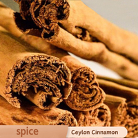 Épices en gros Qingchun, vente directe d'usine, origine Cannelle de Ceylan
