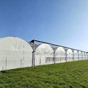<span class=keywords><strong>Serre</strong></span> agricole multi-chapelles à structure métallique arquée, <span class=keywords><strong>serre</strong></span> de tourisme, <span class=keywords><strong>serre</strong></span> pour fleurs/<span class=keywords><strong>serre</strong></span> de pépinière - Product Image 2