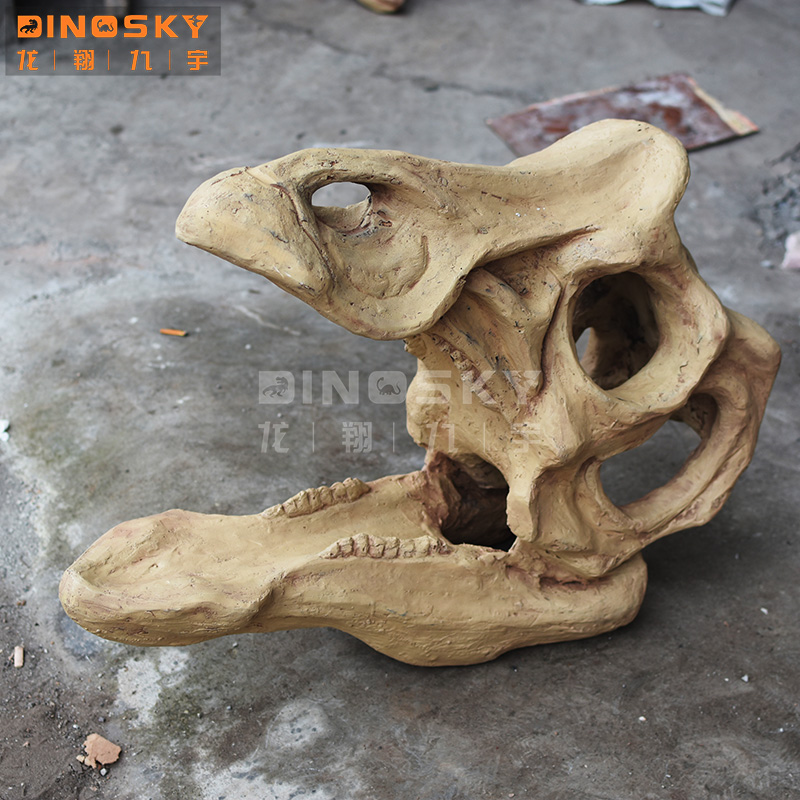 Le crâne de Triceratops(1300*600*700)