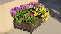 Vente directe d'usine de fournitures de jardinage : Grandes jardinières/pots à fleurs modulaires carrés en plastique PP pour l'extérieur.