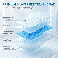 Tapis d'apprentissage pour chiots, absorbants, jetables, 5 couches, anti-fuites, séchage rapide, imperméables, avec logo personnalisé