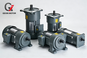 Motorreductor vertical y horizontal de tamaño mediano, monofásico/trifásico, 200W, 400W, 750W, 1500W - Product Image 4