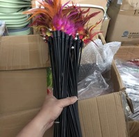 En gros, Plumes de poulet colorées en vrac, Plumes de fée, Jouet interactif pour animaux de compagnie, Baguette de chat d'intérieur, Jouet en fourrure et plumes