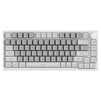 Clavier mécanique de jeu AJAZZ AK820 RGB, disposition 75 %, ergonomique, ambidextre, structure d'espacement, USB-C, plastique, pour ordinateur de bureau, nouveau produit