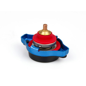 Bouchon de radiateur D1 65mm bleu avec joint rouge pour remplacement du système de refroidissement de voiture, ajustement universel - Product Image 2
