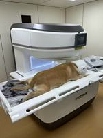 Équipement vétérinaire professionnel EUR VET, machine d'IRM vétérinaire, système de résonance magnétique vétérinaire, système d'IRM permanent pour animaux